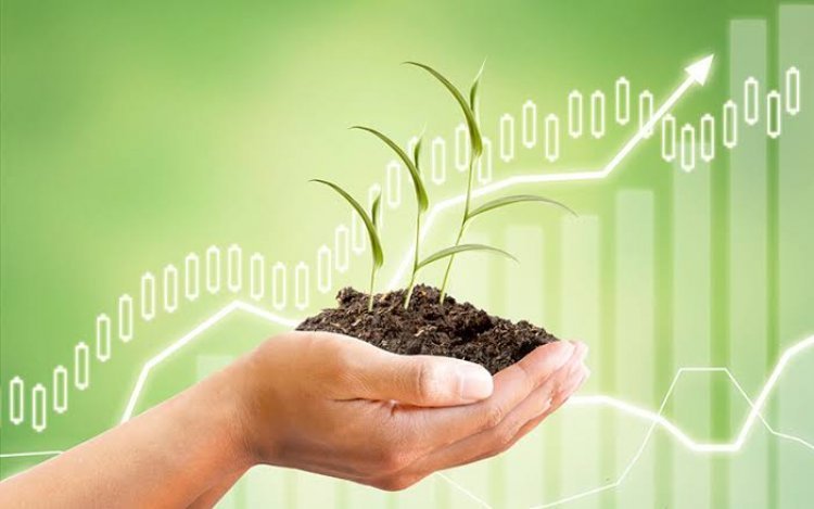 Omnivore Announces First Close of $150 Mn Fund for Agritech Startups@startupinsider.in